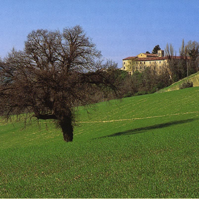 Montefeltro