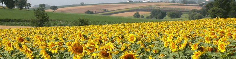 Agriturismo in italia