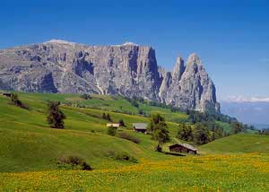 Alpe di Siusi