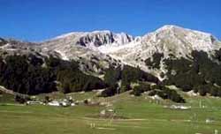 Campitello Matese