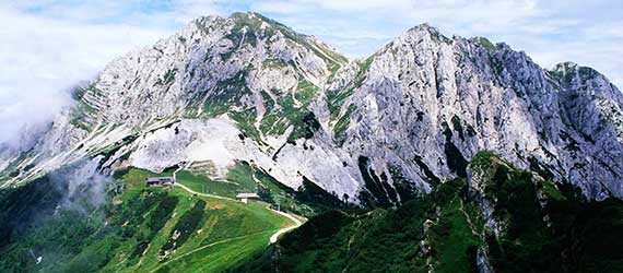 Alpi