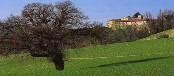 Montefeltro