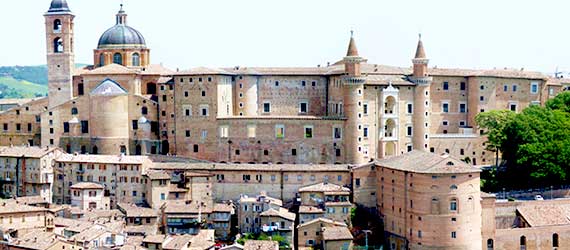 Urbino/